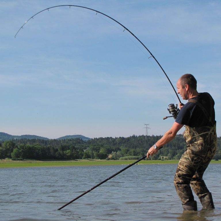 6 cannes à pêche pour carpe de qualité et pas chers Ma Canne A Peche MCAP