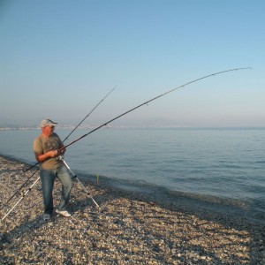 types-cannes-a-peche-surfcasting
