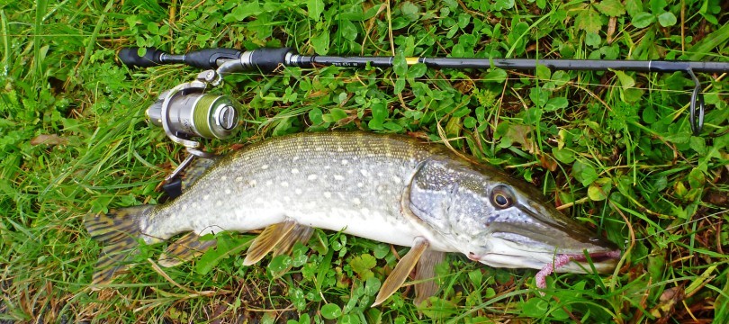 Comparatif des cannes à pêche brochet, sandre et carnassier