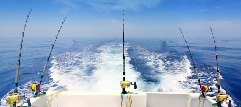 Canne à pêche Professionnelle avec Fibre en Carbone pour Pêcheur en Mer 1,5-2,4M 
