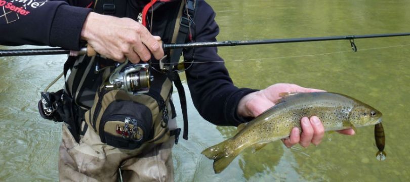 Quelle canne pour la pêche de la truite acheter ?