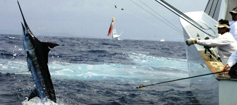 Big Jon Downrigger De Pêche à La Traîne – Parfait Pour La Pêche En Eau Douce !