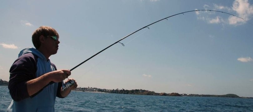 Les marques de canne à pêche - Leurre de la pêche