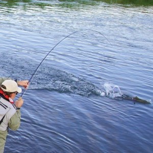 choix-canne-pour-peche-a-la-mouche