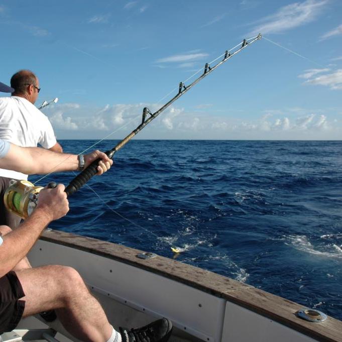 Canne à pêche à la traine les meilleurs modèles Ma Canne A Peche MCAP