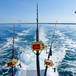 meilleure-canne-pour-peche-en-bateau