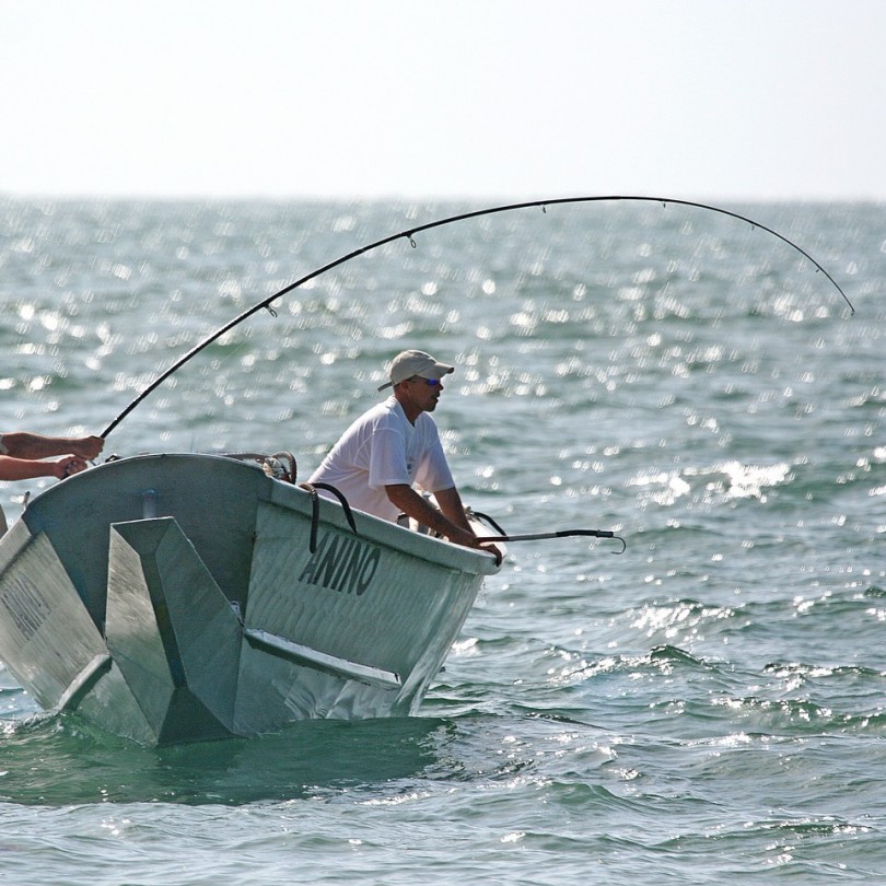 Canne à pêche à la traine les meilleurs modèles Ma Canne A Peche MCAP