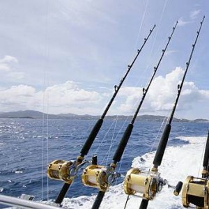 meilleures-cannes-pour-peche-en-bateau