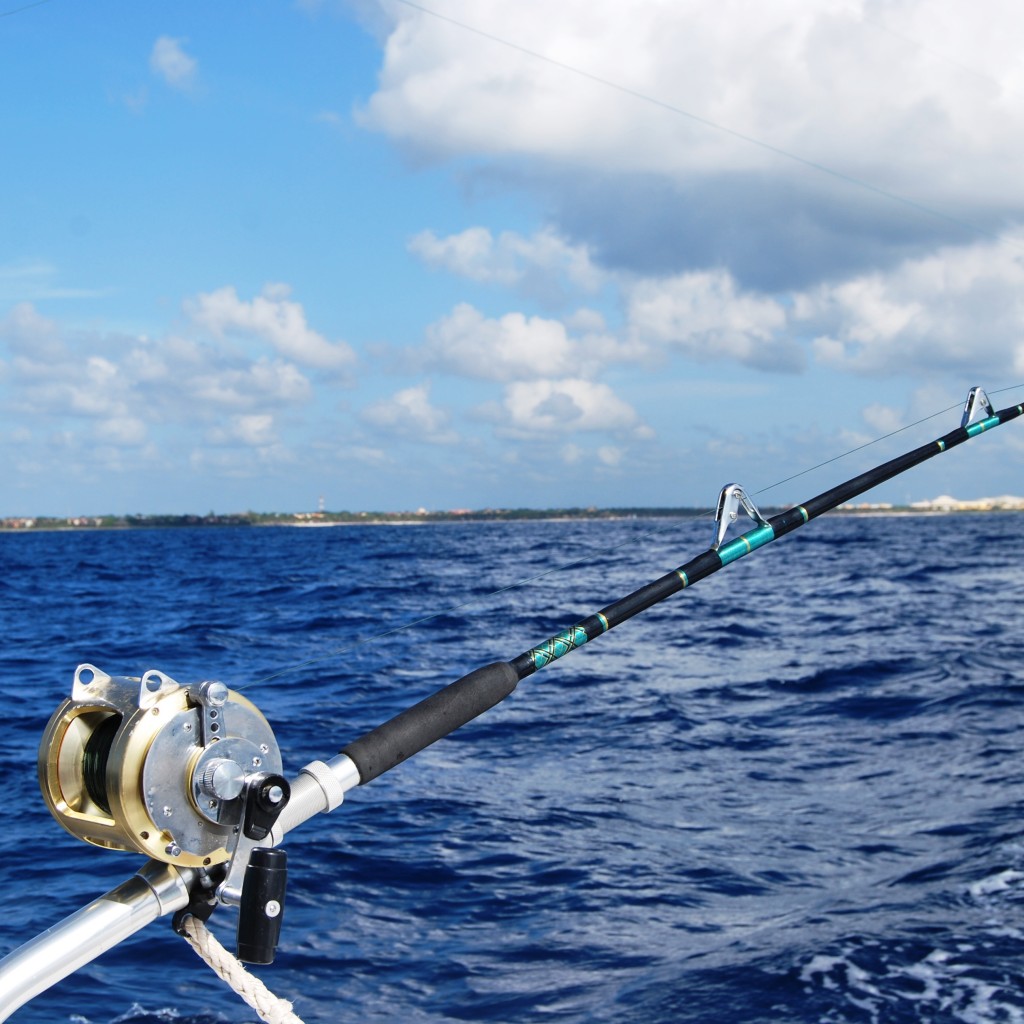 Canne à pêche, mini canne à pêche, canne à pêche télescopique
