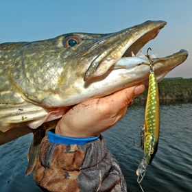 modele-leurre-de-peche