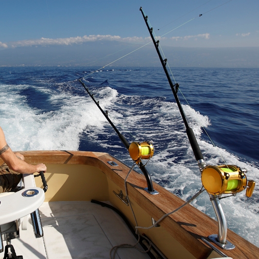 Canne à pêche à la traine les meilleurs modèles Ma Canne A Peche MCAP