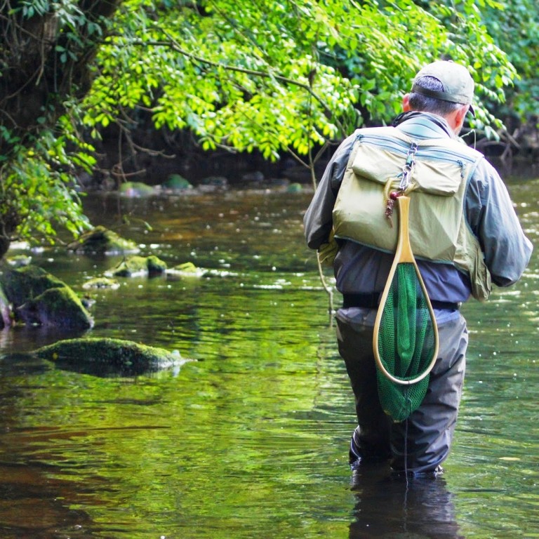 Épuisette Télescopique Pliable – Katmerio, Cadre Alu, Maille Caoutchouc, 43 à 90 Cm – Pour Kayak, Salmonidé, Pêche Eau Douce/Salée