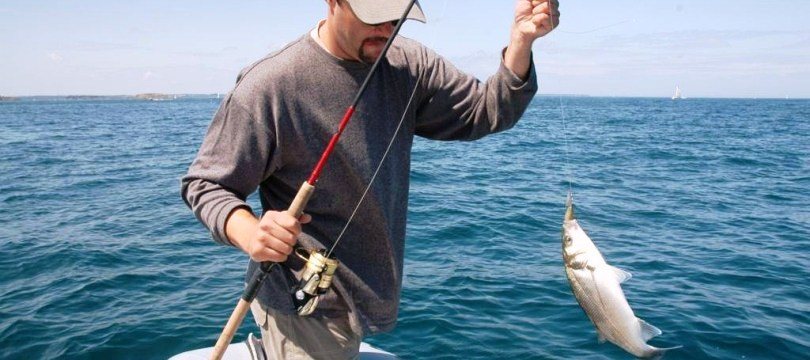 Canne a peche pour la dorade Clearance