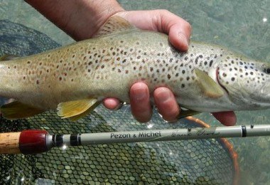 materiel-truite-comparateur