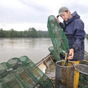 meilleur-accessoire-peche-anguille