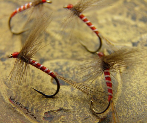 3 Mouches Sèches Hardy's Favorite - Gilchrist, Tailles 10 à 18, Avec/sans Crochet - Pour Pêche à La Mouche